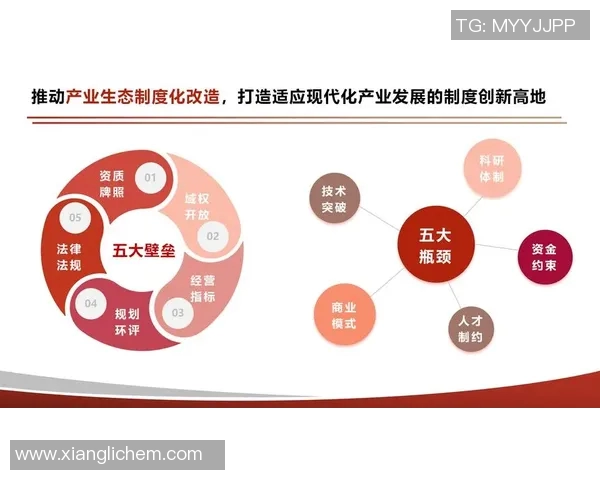 提升足球比赛中球童协作效率的创新策略与实践探索
