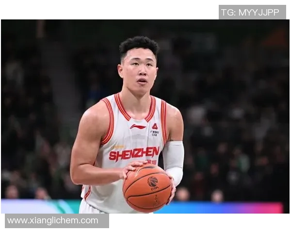 贺希宁精彩盖帽瞬间回顾展现篮球场上的绝对防守魅力